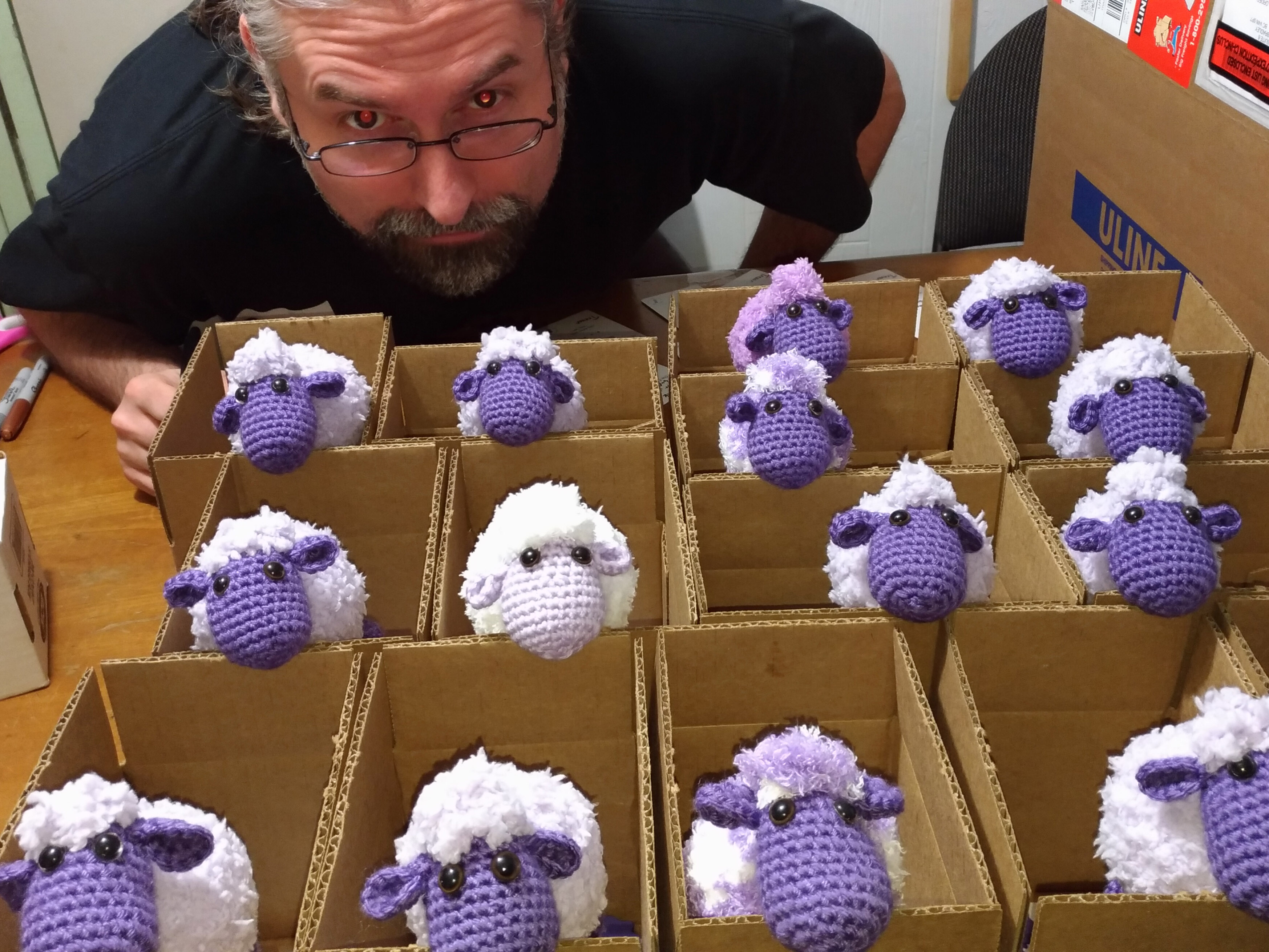 Trevor with many boxes of sheep
